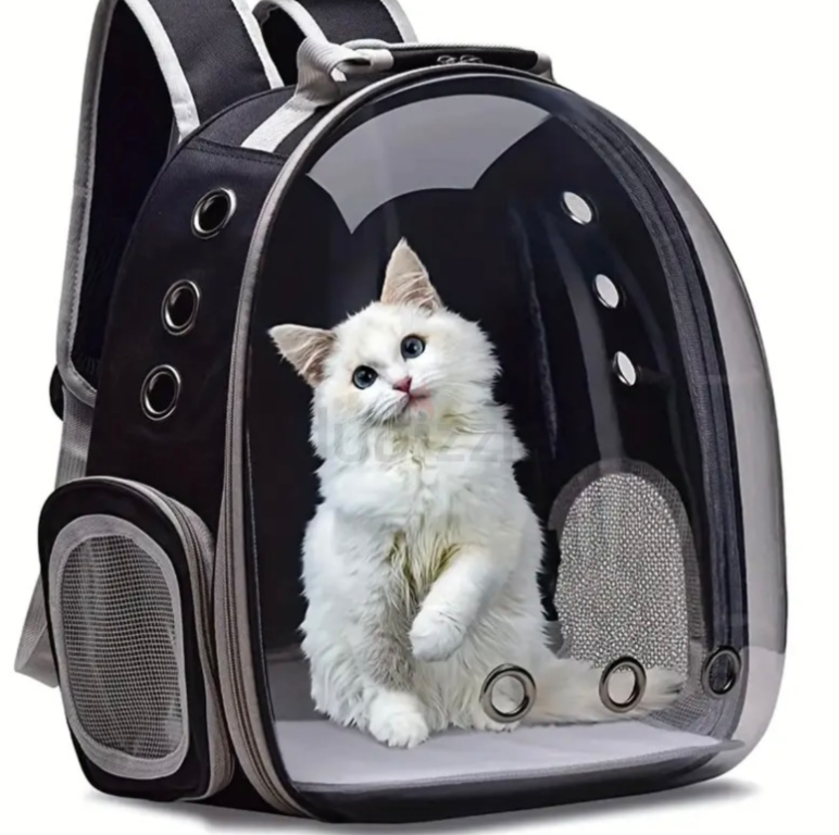 PVC Hard-Sided Pet Carrier Backpack