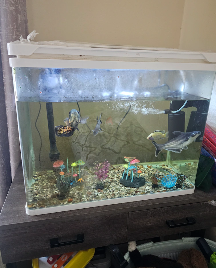 Aquarium