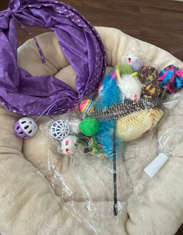 Pet cat toys bundle for sale ( all new and unused)