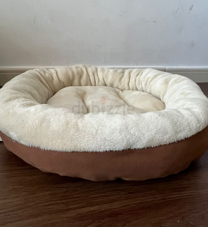 Pet cat toys bundle for sale ( all new and unused)