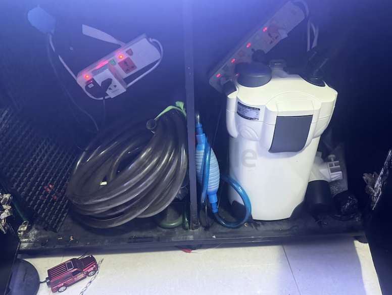 Aquarium, Fish all other accessories For Sale