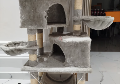 Screenshot-2025-02-06-185822