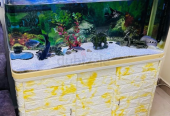 Aquarium 100cm