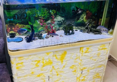 Screenshot-2025-02-06-185924