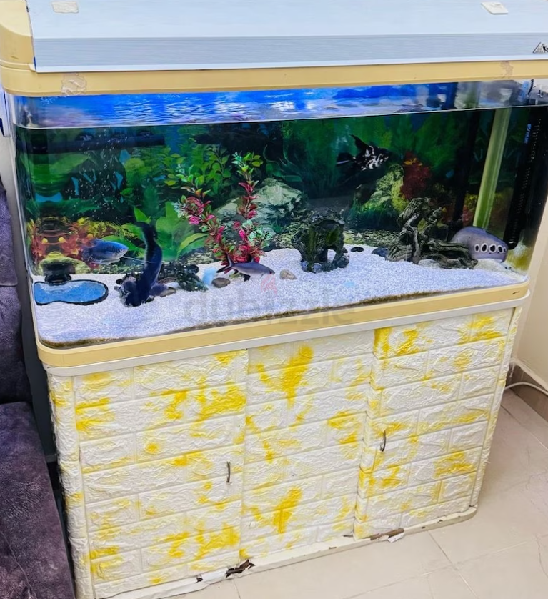 Aquarium 100cm