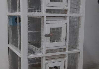 Screenshot-2025-02-06-190153