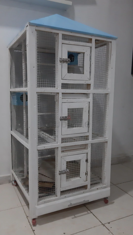 Birds Cage