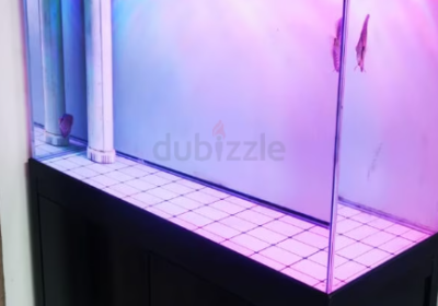 Screenshot-2025-02-06-190527