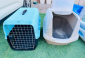 Big cat’s carrier and litter box .