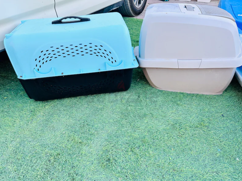Big cat’s carrier and litter box .
