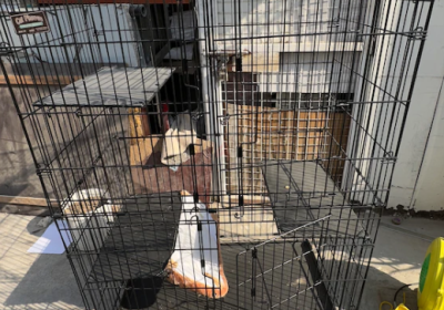 Screenshot-2025-02-06-191038