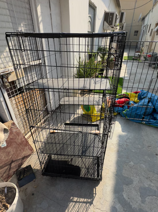 Large cage for cats/ other pets