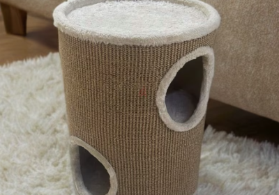 Screenshot-2025-02-06-191420