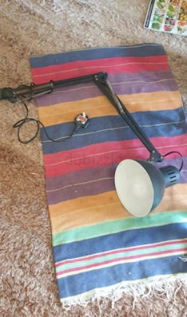 Lamp 20 AED