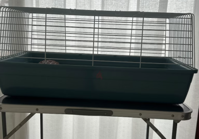 Screenshot-2025-02-07-122735