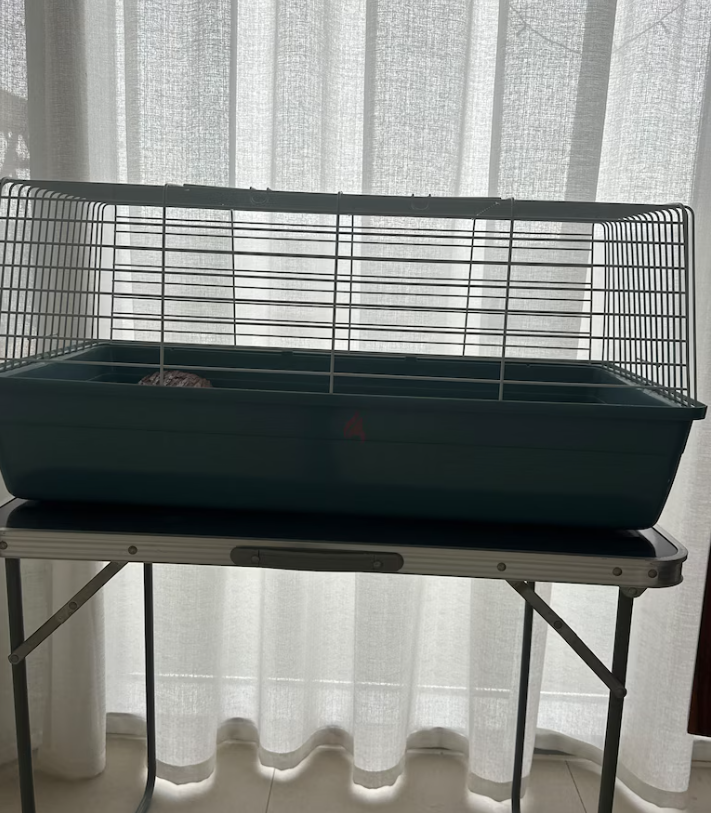 Rabbit Cage