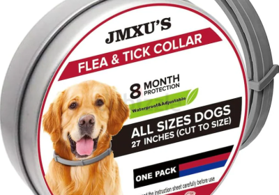 Screenshot-2025-02-07-123039