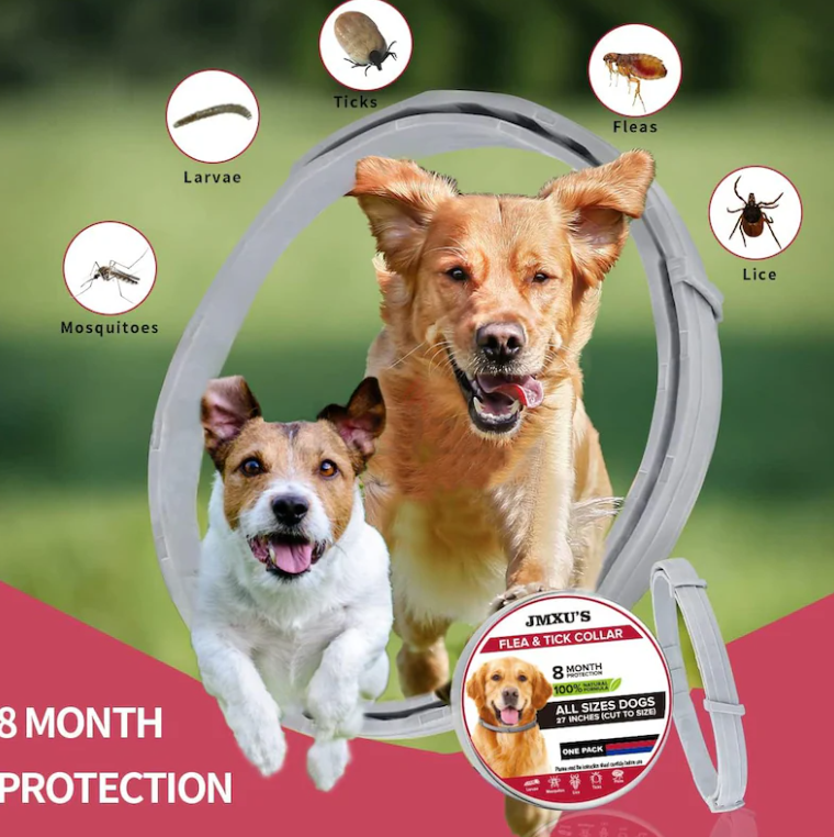 300 – Jmxus Flea and Tick Collar for Dogs, Flea and Tick Prevention for Dog, 27 Inch, 8 Month