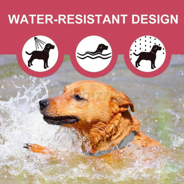 300 – Jmxus Flea and Tick Collar for Dogs, Flea and Tick Prevention for Dog, 27 Inch, 8 Month