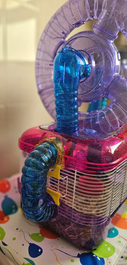 Piece of art Decorative Hamaster Cadge