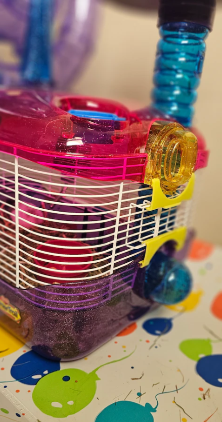 Piece of art Decorative Hamaster Cadge