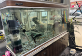 Fish aquarium new condition