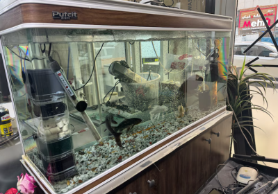 Screenshot-2025-02-07-123552