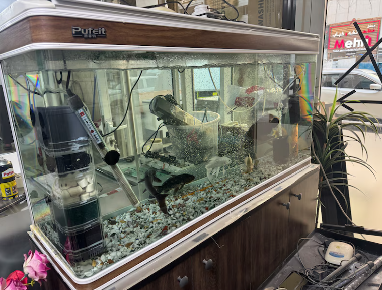 Fish aquarium new condition