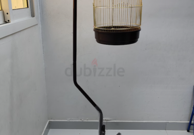 Screenshot-2025-02-07-123759