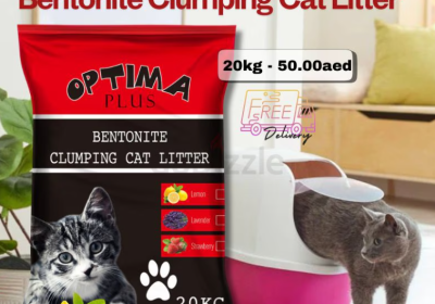 Screenshot-2025-02-07-124205