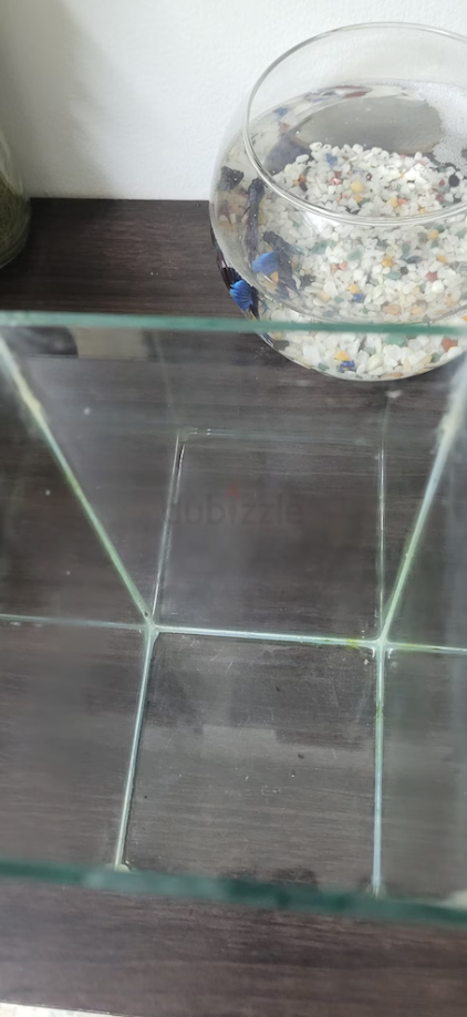 Ornamental Fish Tank