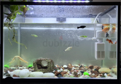 Screenshot-2025-02-07-124448