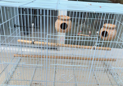 Screenshot-2025-02-07-125711