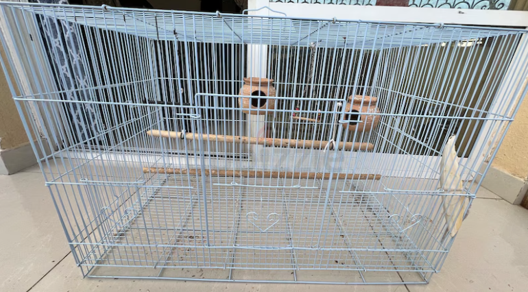Bird cage