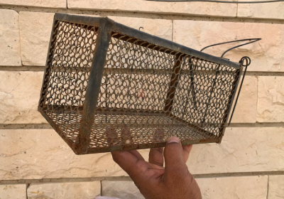 Screenshot-2025-02-07-125811