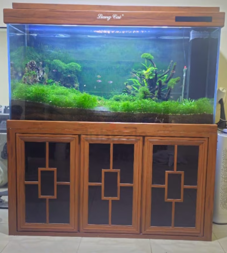 Aquarium with Sump – 1.5 Meter