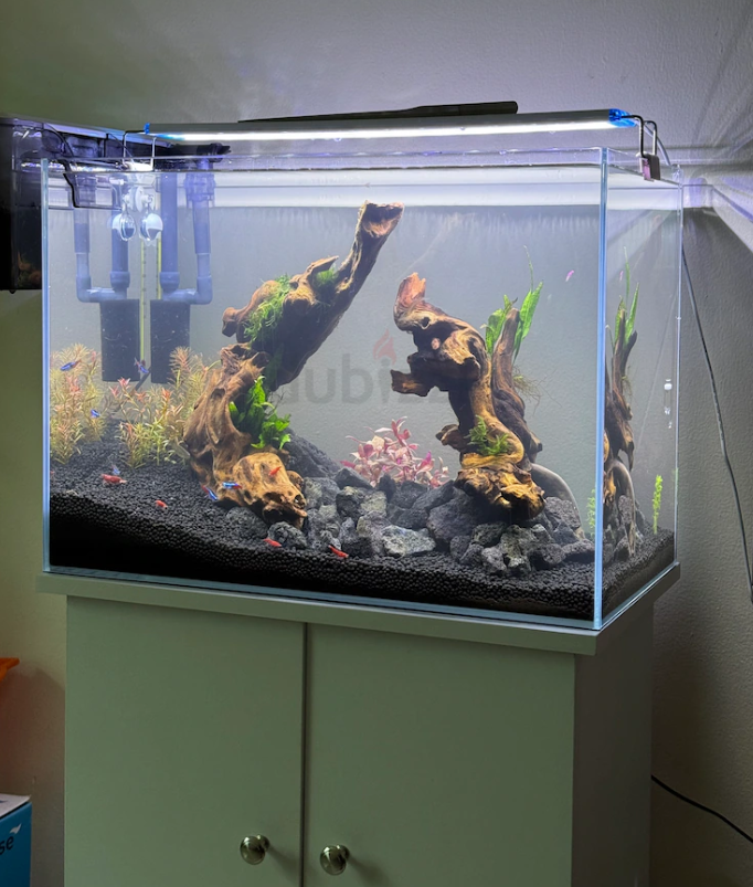 50cm Aquarium with cabinet