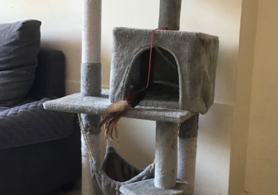 Screenshot-2025-02-07-130420