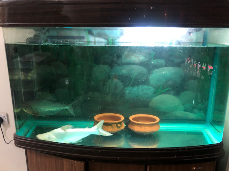 Brand aquarium for sale only for 300
