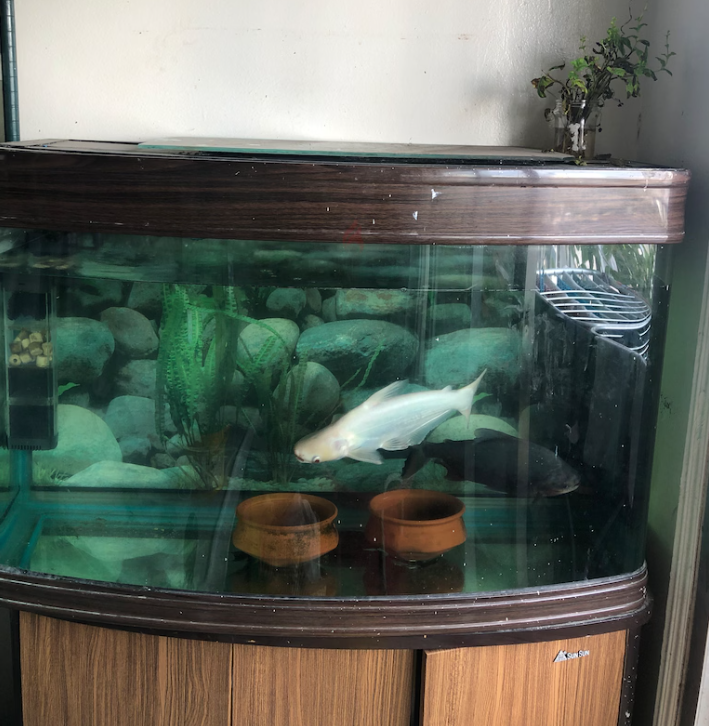 Brand aquarium for sale only for 300