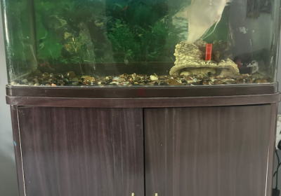 Screenshot-2025-02-07-130858