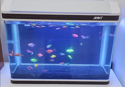 Screenshot-2025-02-07-131344