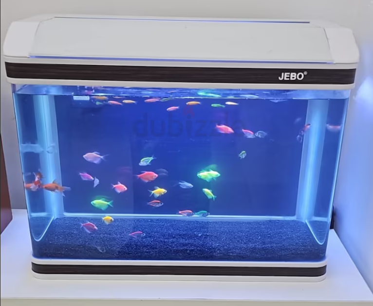Aquarium
