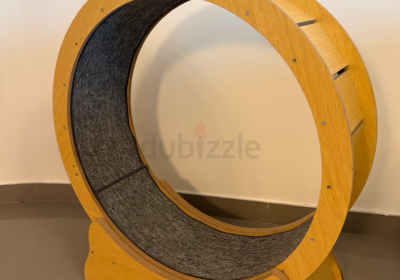 Screenshot-2025-02-07-131445