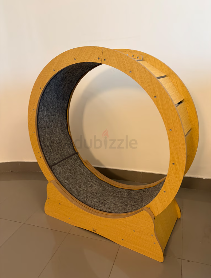 Cat Exercise Wheel