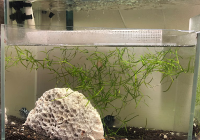 Screenshot-2025-02-07-131545