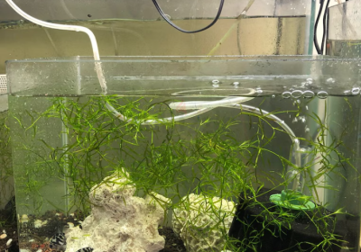 Screenshot-2025-02-07-131701