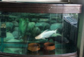 Aquarium for sale (sunsun)