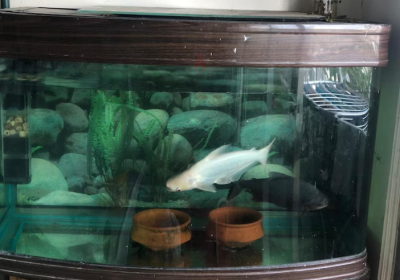 Screenshot-2025-02-07-131804