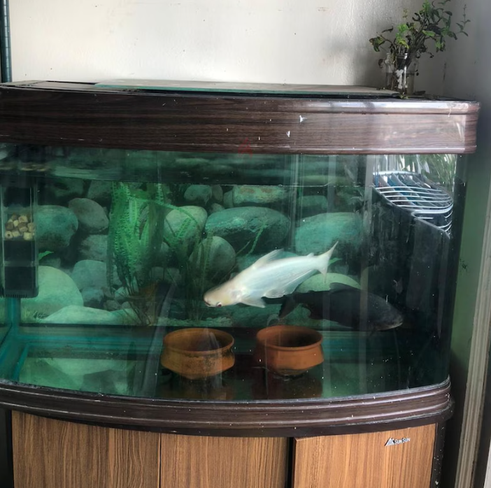 Aquarium for sale (sunsun)